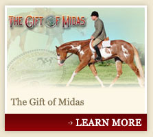 The Gift of Midas, APHA Stallion