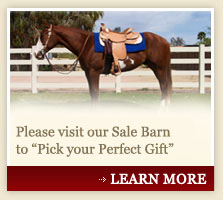 Performance Horses For Sale