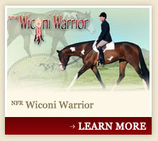 NFR Wiconi Warrier, APHA Stallion