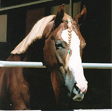 Wiconi