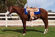 Wiconi